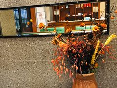 -三合园水饺·青岛菜(五四广场店)