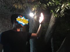 -南山植物园