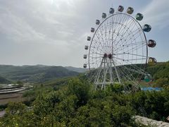 -铜川市金锁关石林