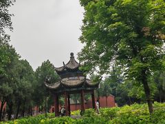 -洛阳白马寺