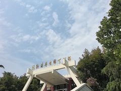-古车博物馆