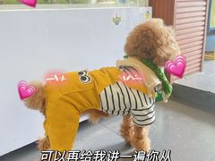 -Tim炒酸奶