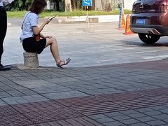-万绿园