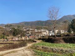 -塔川景区