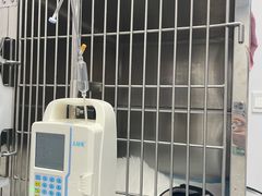 -良伴无忧宠物医院(泰欣嘉园店)