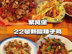 -柴窝堡22号辣子鸡·传承新疆菜