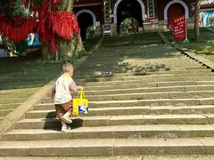 -子昂故里文化旅游区