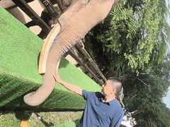 -野象谷景区