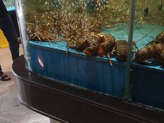 -阿伟海鲜楼·福建菜(延寿店)