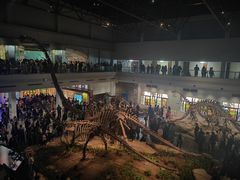 -自贡恐龙博物馆