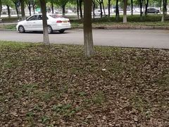 -安飞驰驾校·学车连锁(金高店)