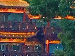 -西湖外事游船(花港观鱼码头)