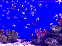 -厦门海底世界