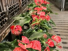 -大妙火锅·非物质文化遗产(东湖公园店)