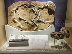 -国家自然博物馆