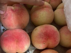 -南汇水蜜桃采摘(大团店)