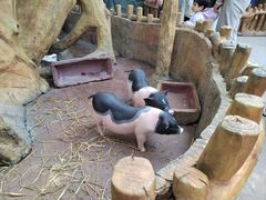 -长鹿旅游休博园