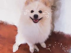 -鑫雅居公寓(广州南站地铁站店)