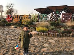 -上海长兴岛郊野公园