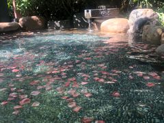 -厦门日月谷温泉渡假村