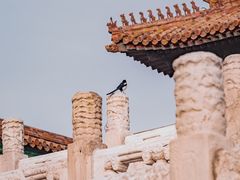 -故宫博物院(故宫)