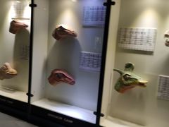 -世界恐龙谷景区