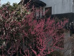 -巡塘古镇