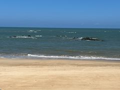 -这片海·海景餐厅(博鳌店)