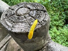 -本溪老边沟风景区