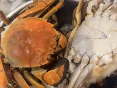 -半岛听涛蒸汽海鲜自助(K11店)