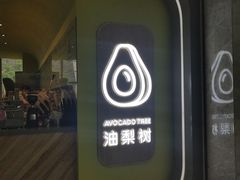 -油梨树AVOCADO TREE(望京店)