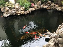 -鲤院·新中式美学·庭院餐厅(夫子庙店)