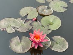 -星巴克(深圳前海企业公馆店)