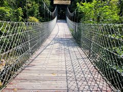 -海南热带雨林国家公园吊罗山景区