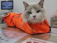 -荔康动物医院(康王北路店)