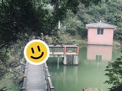 -水濂山森林公园