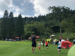 -武陵山森林公园
