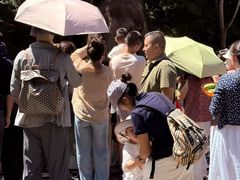 -野象谷景区
