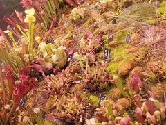 -中国科学院西双版纳热带植物园