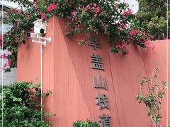-佛山华盖山公园