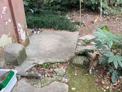 -阿育王寺
