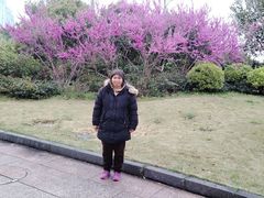 -桐乡植物园