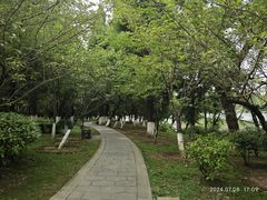 -观山湖公园