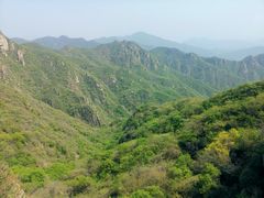 -大岭沟猕猴桃谷风景区