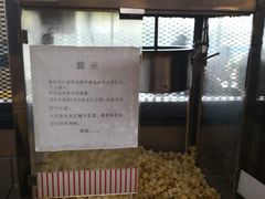 -醉得意(马驹桥店)