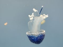 -常州海昌海洋探索馆