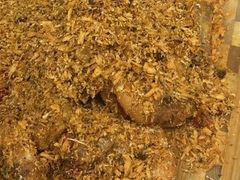 -江津如果餐厅(江津店)