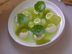 -Tomacado花厨(One ITC店)