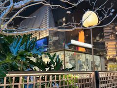 -桂满陇·海市蜃楼·黑金(国金店)