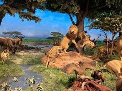 -国家自然博物馆